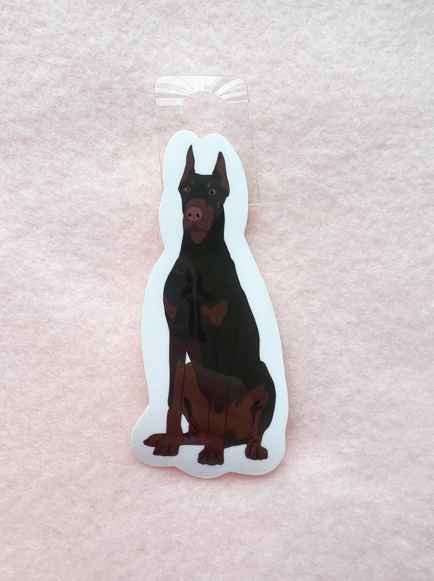 Dobermann (red & rust/cropped ears) Sticker