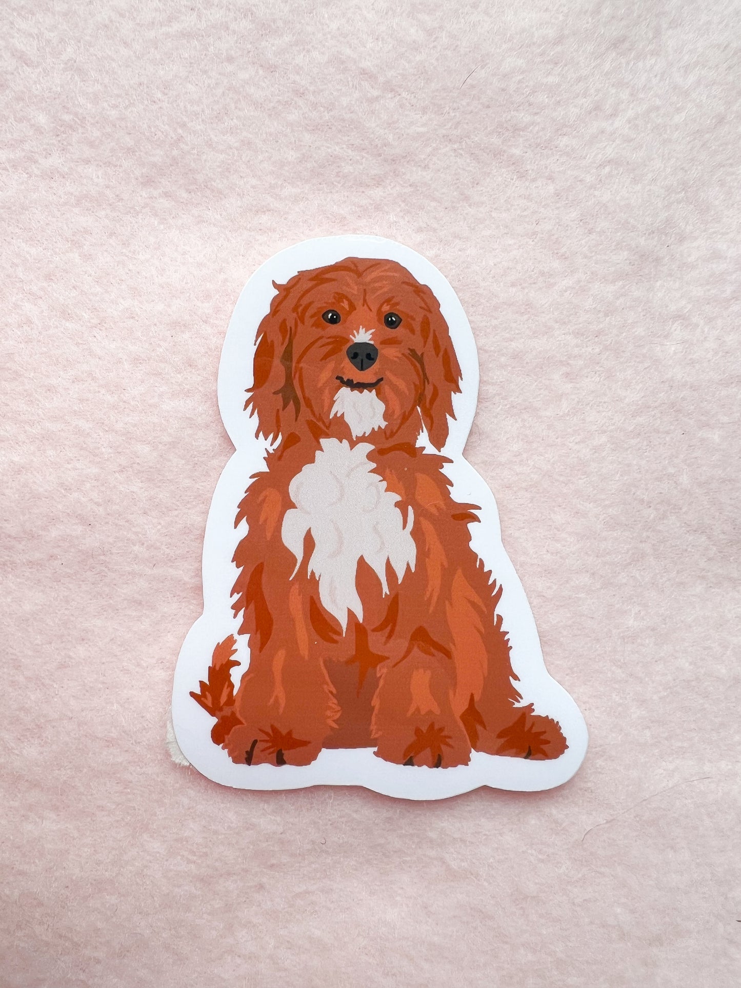 Cavapoo, Shipoo Sticker