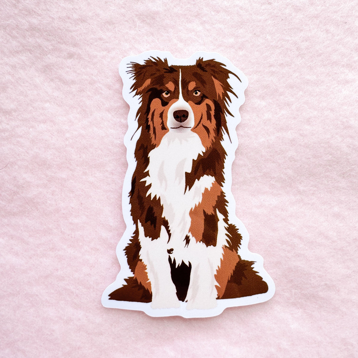 Australian Shepherd (red tri) Sticker