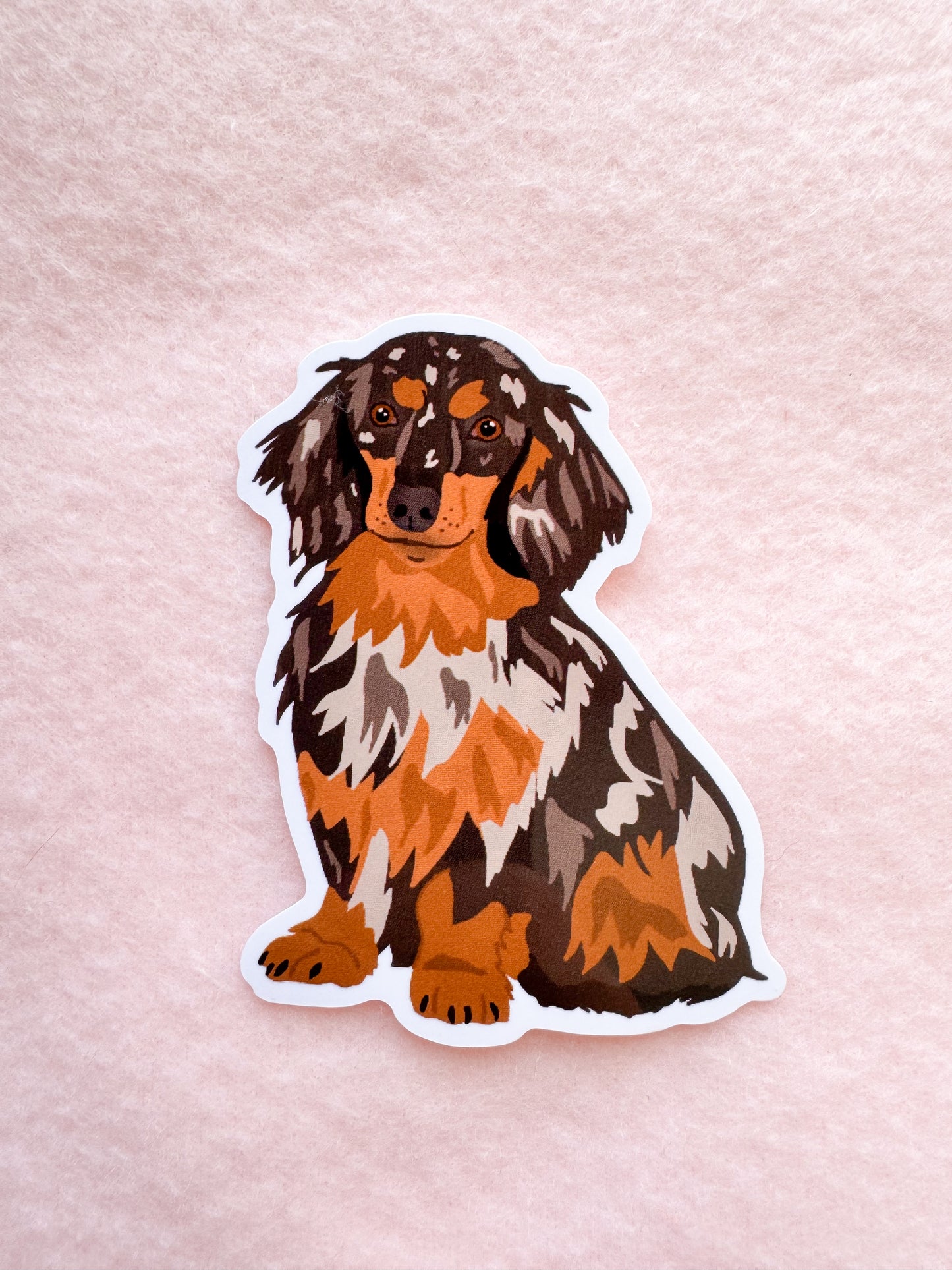 Dachshund (long haired dapple) Sticker