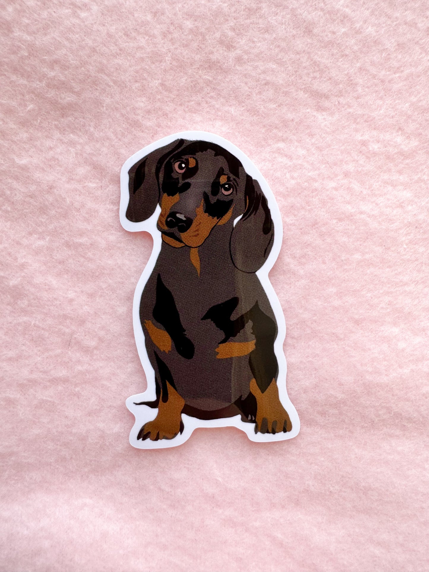 Dachshund (black and brown) Sticker