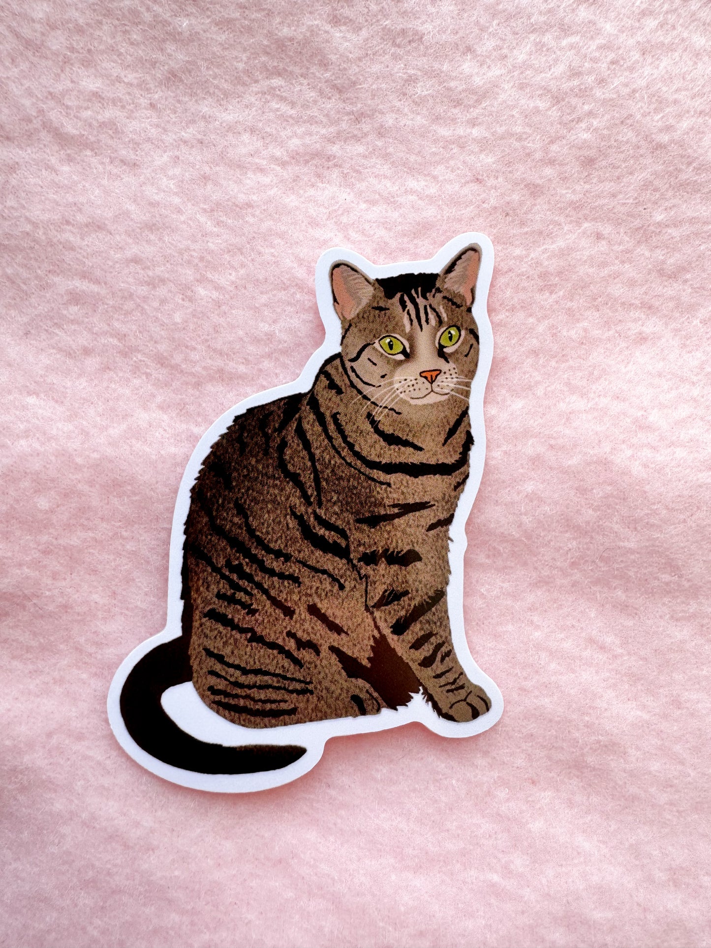 Domestic Shorthair, Brown Tabby Sticker
