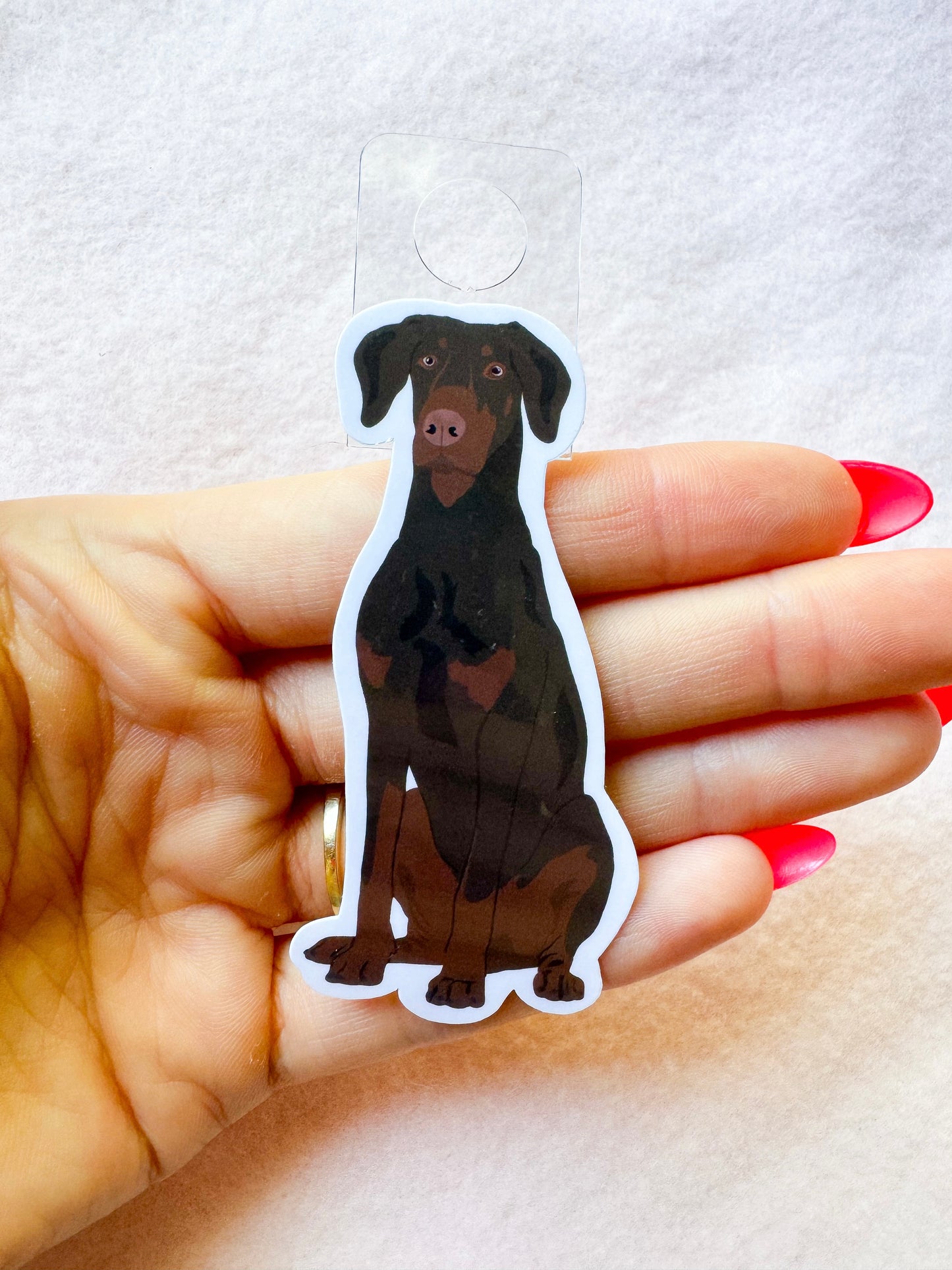 Dobermann (red & rust/natural ears) Sticker