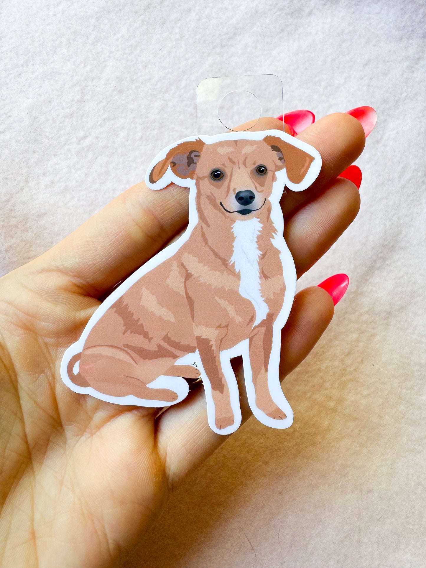 Chiweenie Sticker