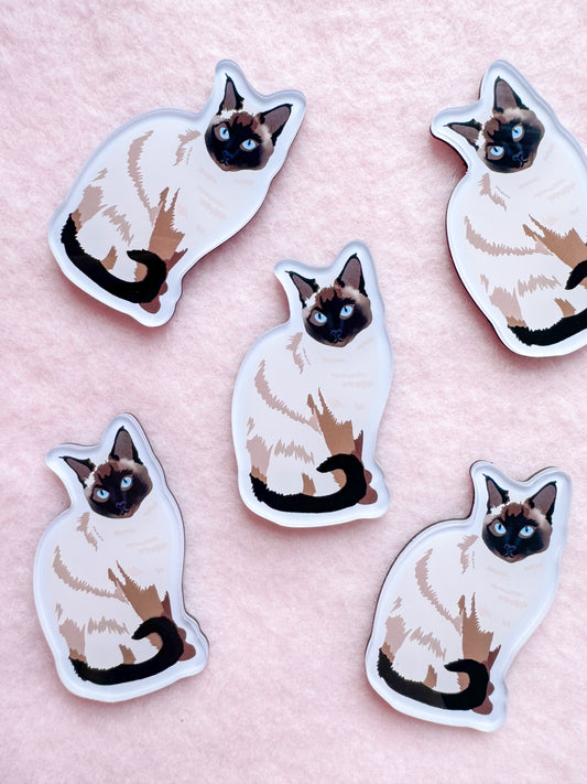 Seal Point Siamese, Tonkinese Magnet