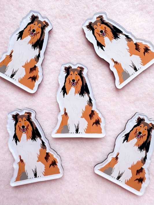 Rough Collie Magnet