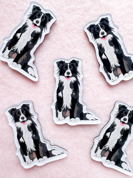Border Collie (black & white) Magnet