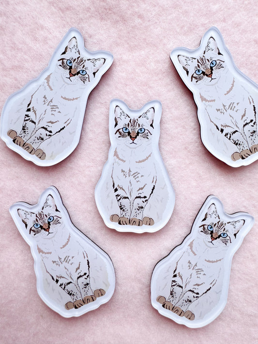 Lynx Point Siamese Magnet