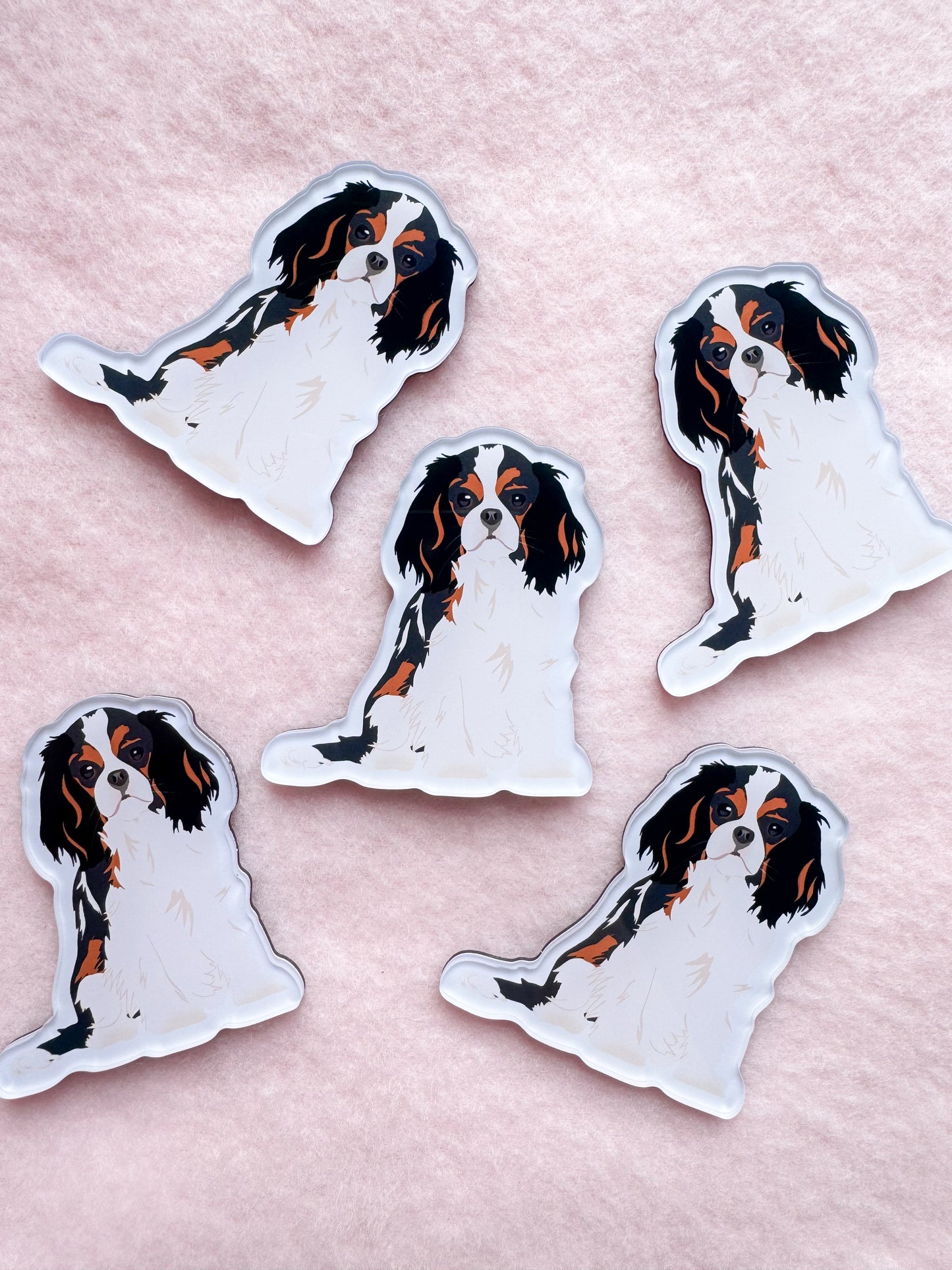 Cavalier King Charles Spaniel (tri-color) Magnet