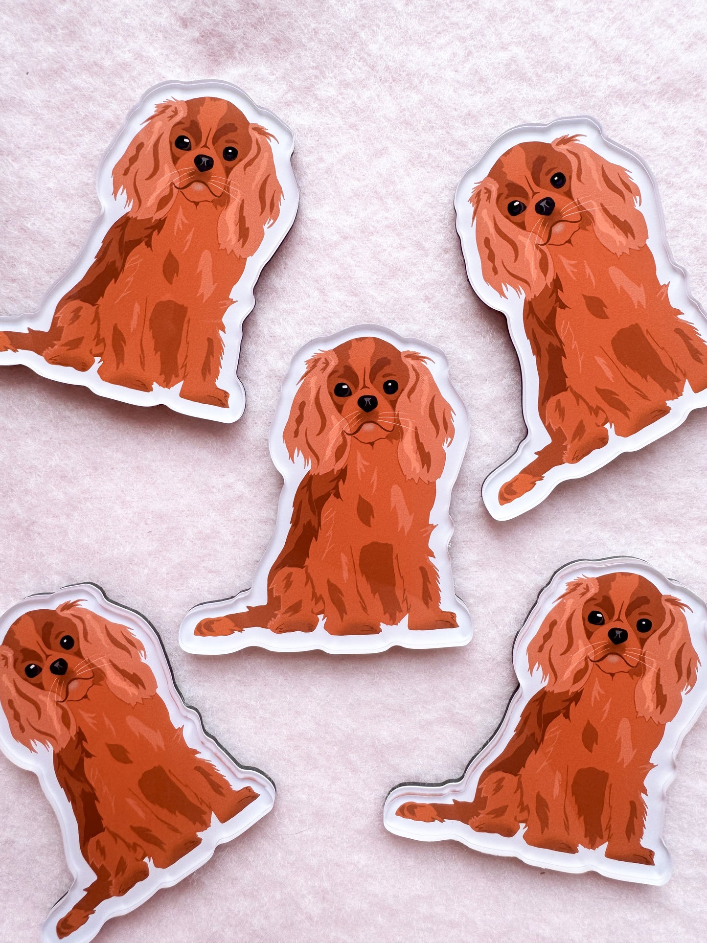 Cavalier King Charles Spaniel (ruby) Magnet
