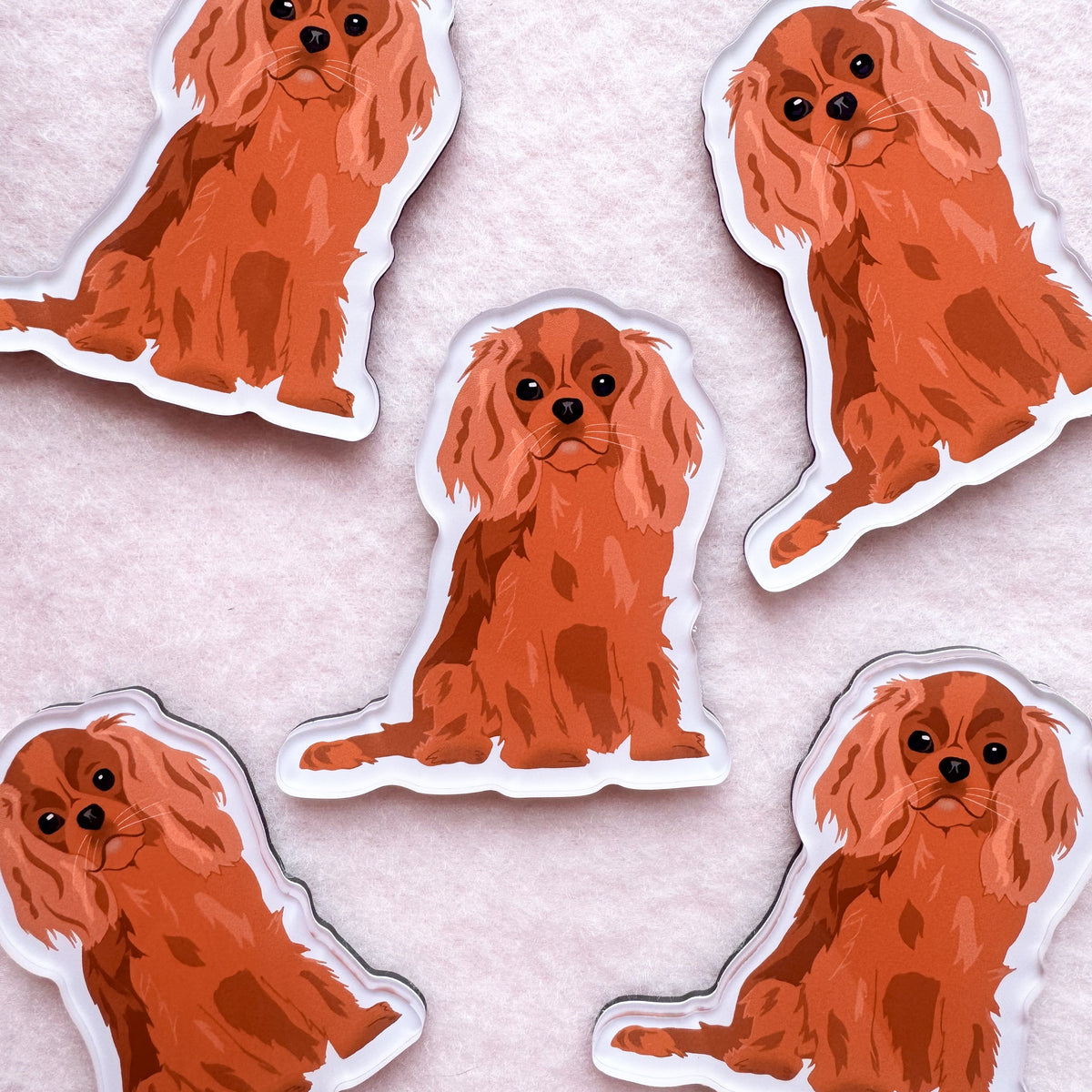 Cavalier King Charles Spaniel (ruby) Magnet
