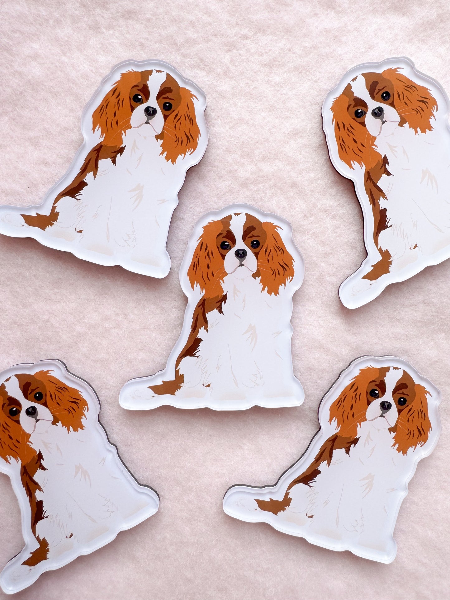 Cavalier King Charles Spaniel (red and white) Magnet