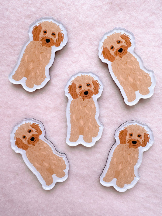 Cockapoo (blonde), Mini Goldendoodle (blonde), Maltipoo Magnet