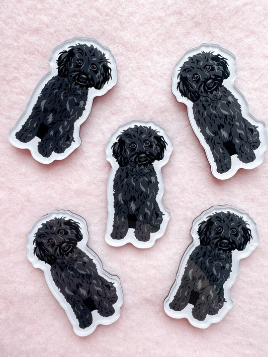 Cockapoo (black), Mini Goldendoodle (black), Maltipoo (black) Magnet
