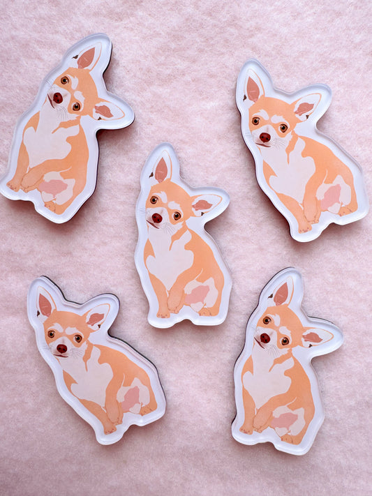 Chihuahua (blonde) Magnet