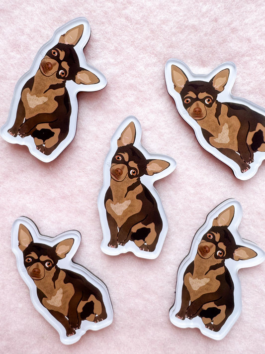 Chihuahua (brown) Magnet