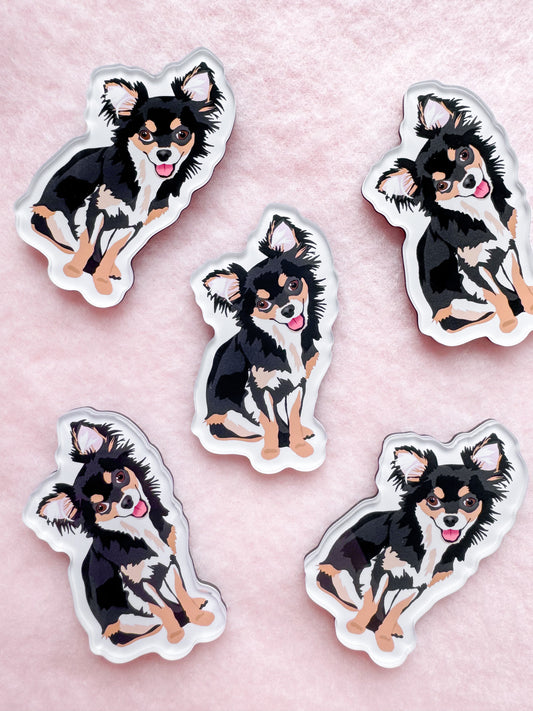 Chihuahua (long haired tri colored) Magnet