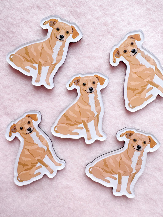 Chiweenie Magnet