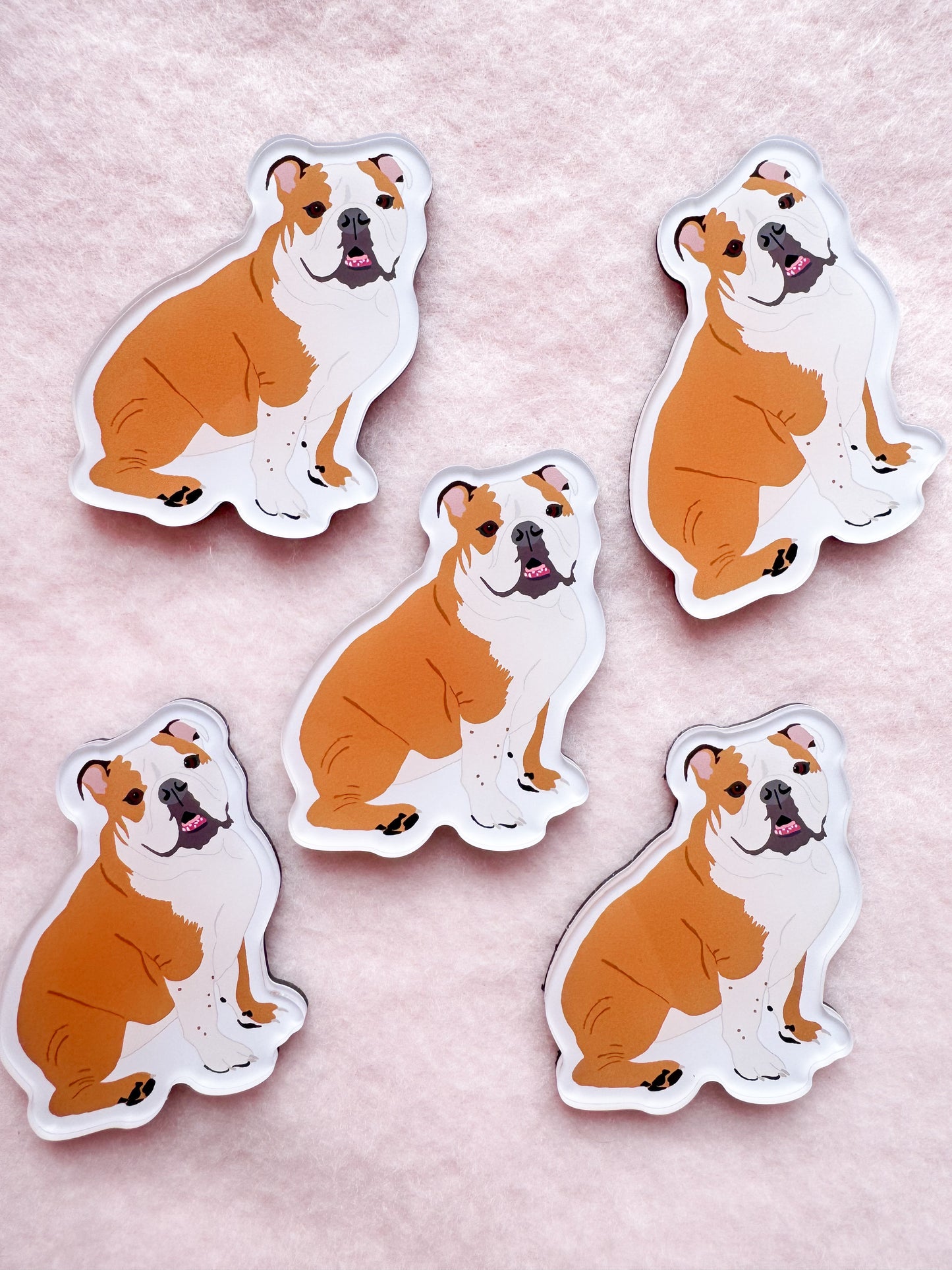 English Bulldog (red & white) Magnet