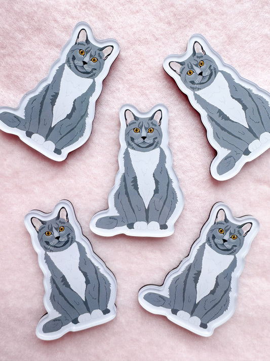 Gray Tuxedo Cat Magnet
