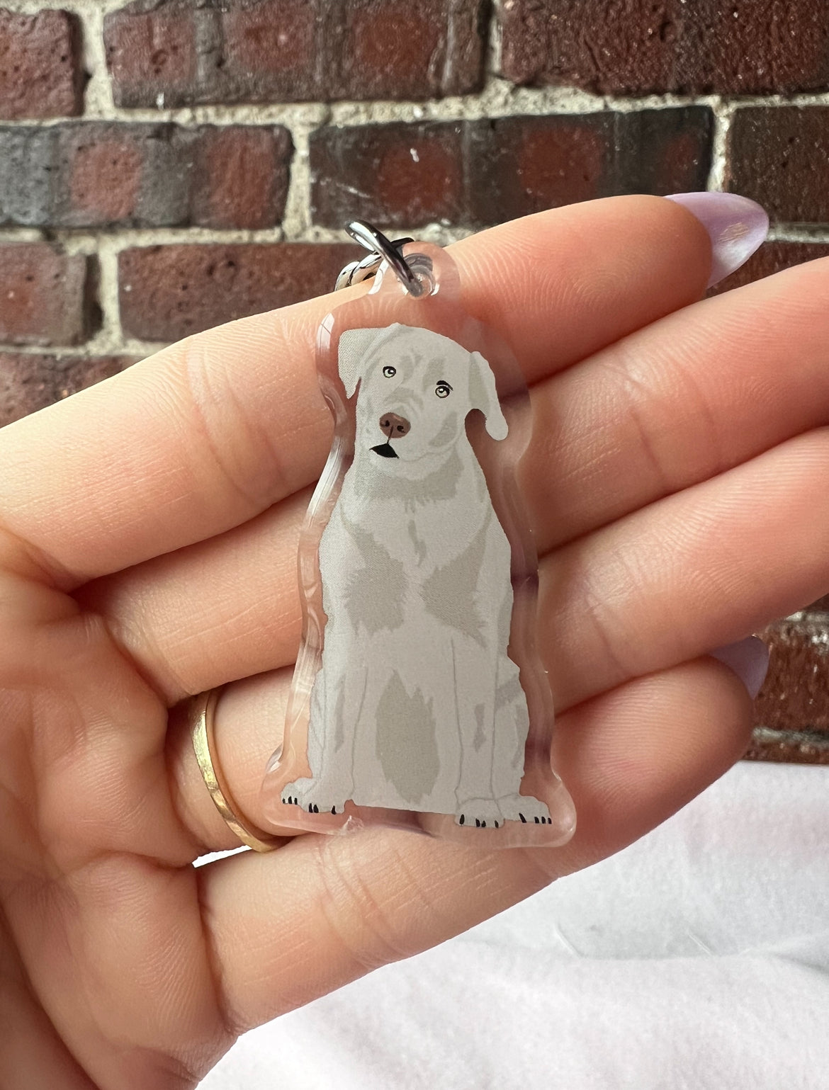 Labrador Retriever (silver), Blue Lacy Keychain