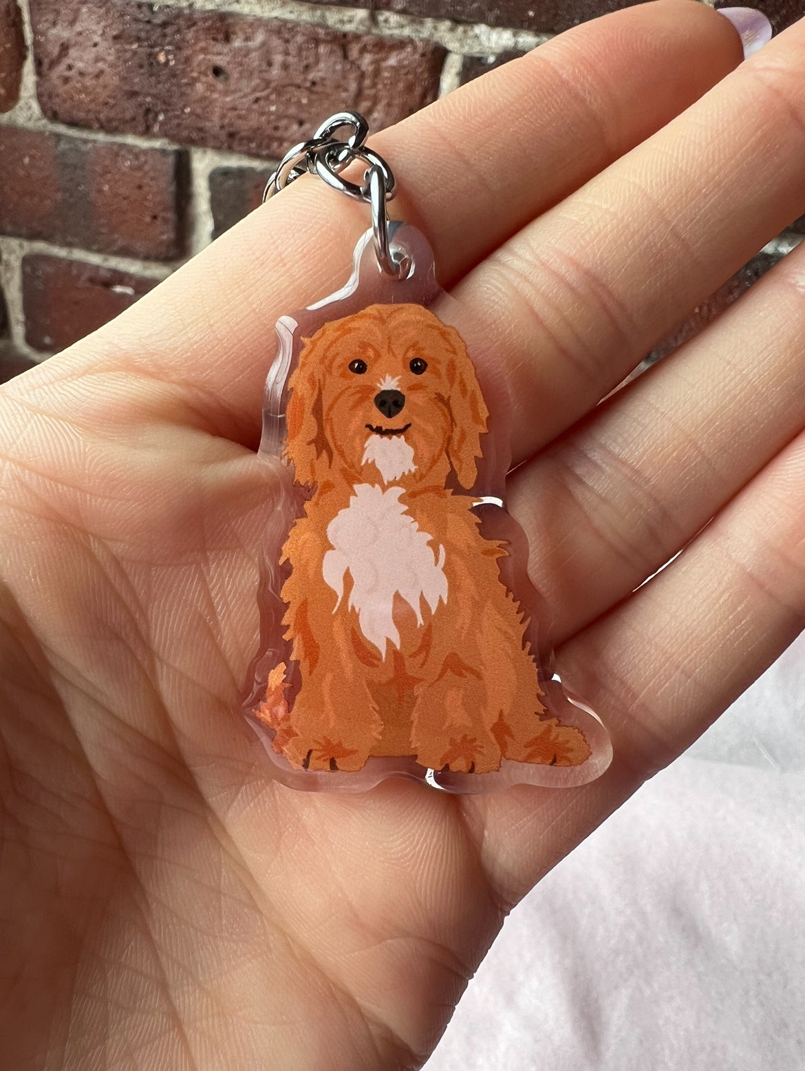 Cavapoo, Shipoo Keychain