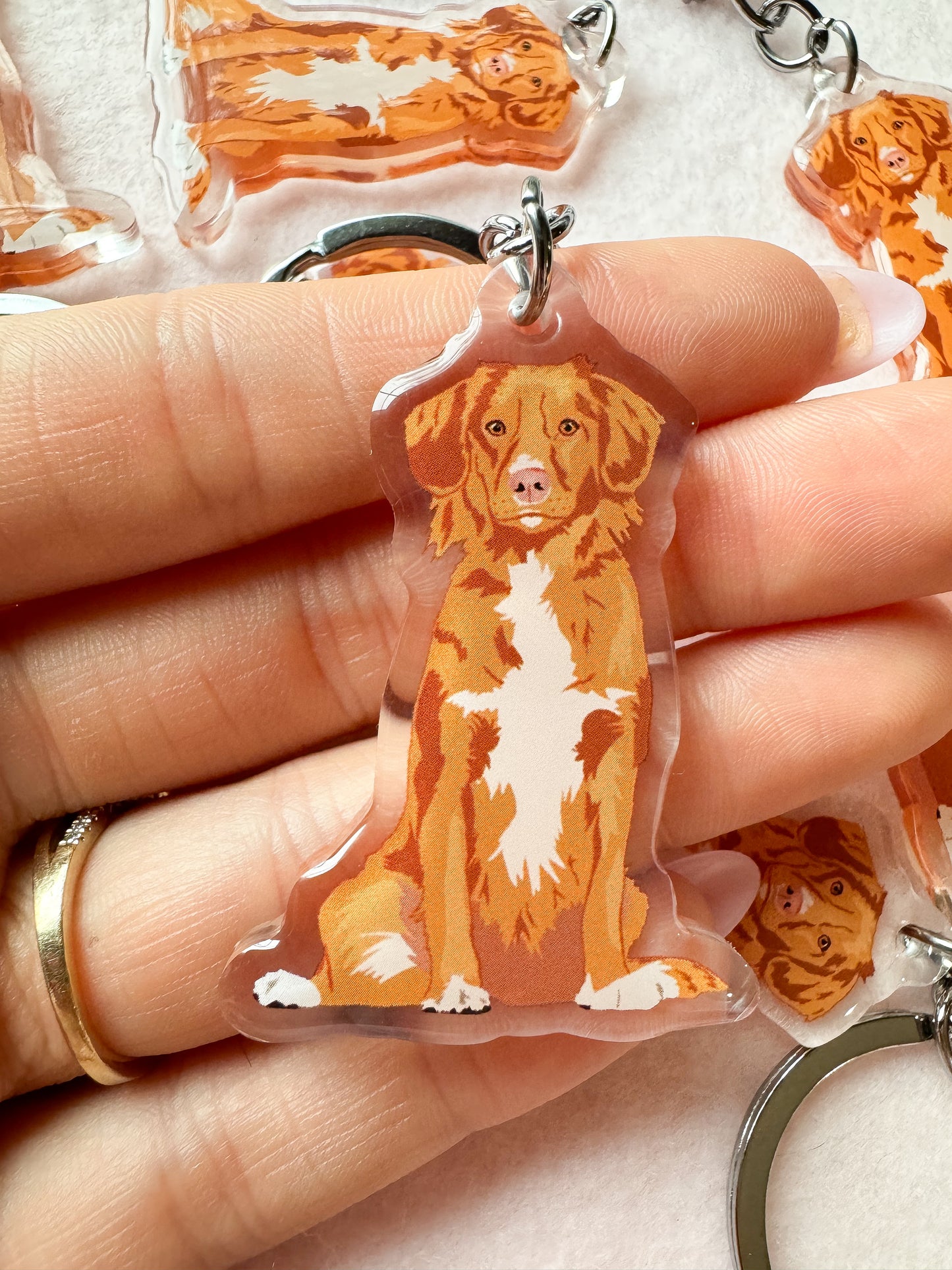 Nova Scotia Duck Tolling Retriever Keychain