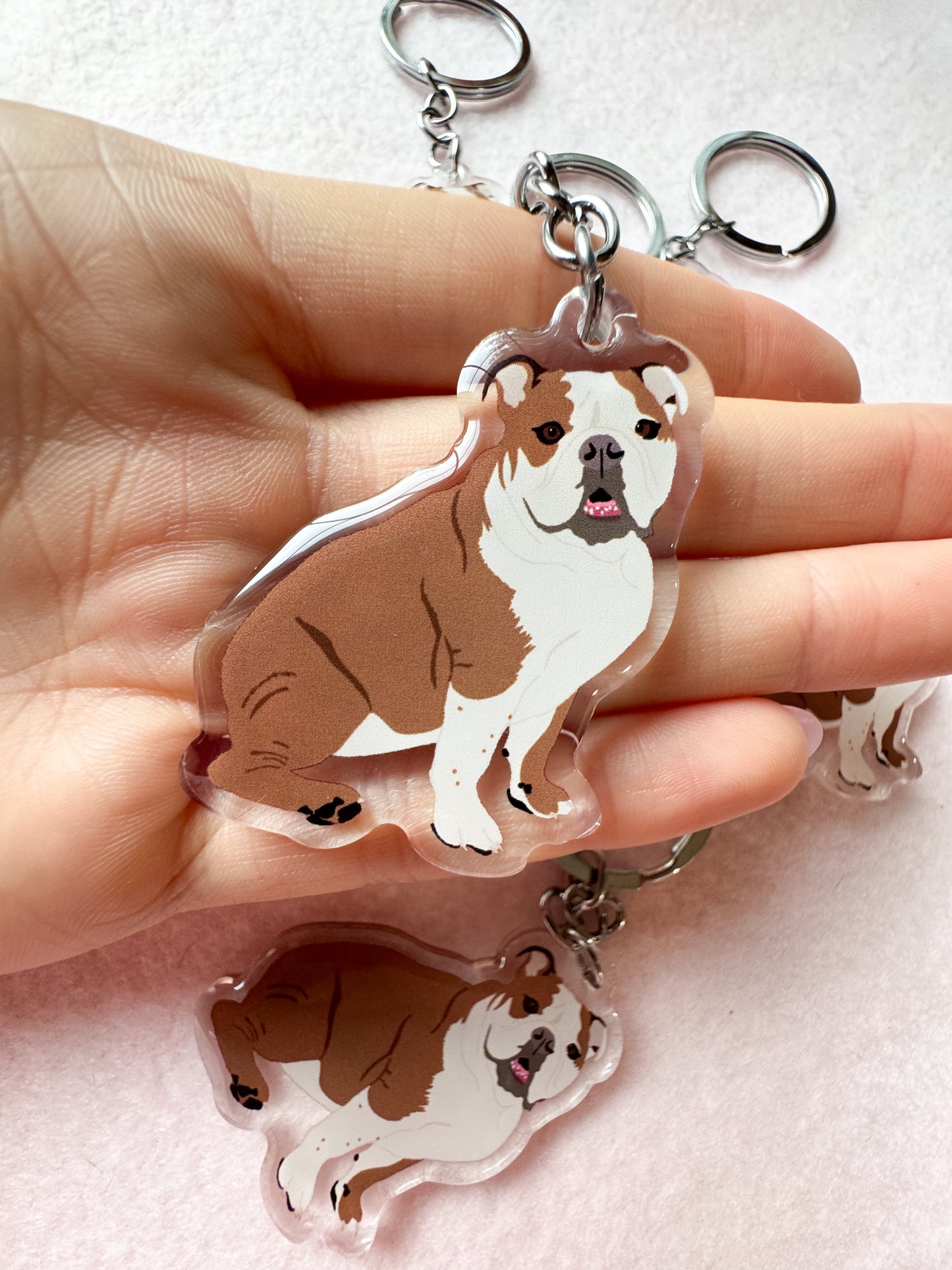 English Bulldog (brown & white) Keychain
