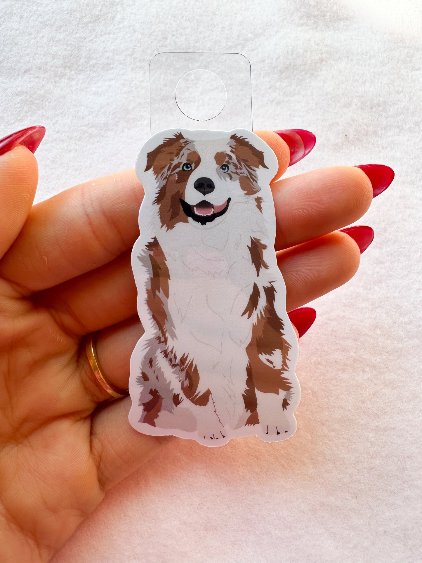 Australian Shepherd (red merle) Sticker