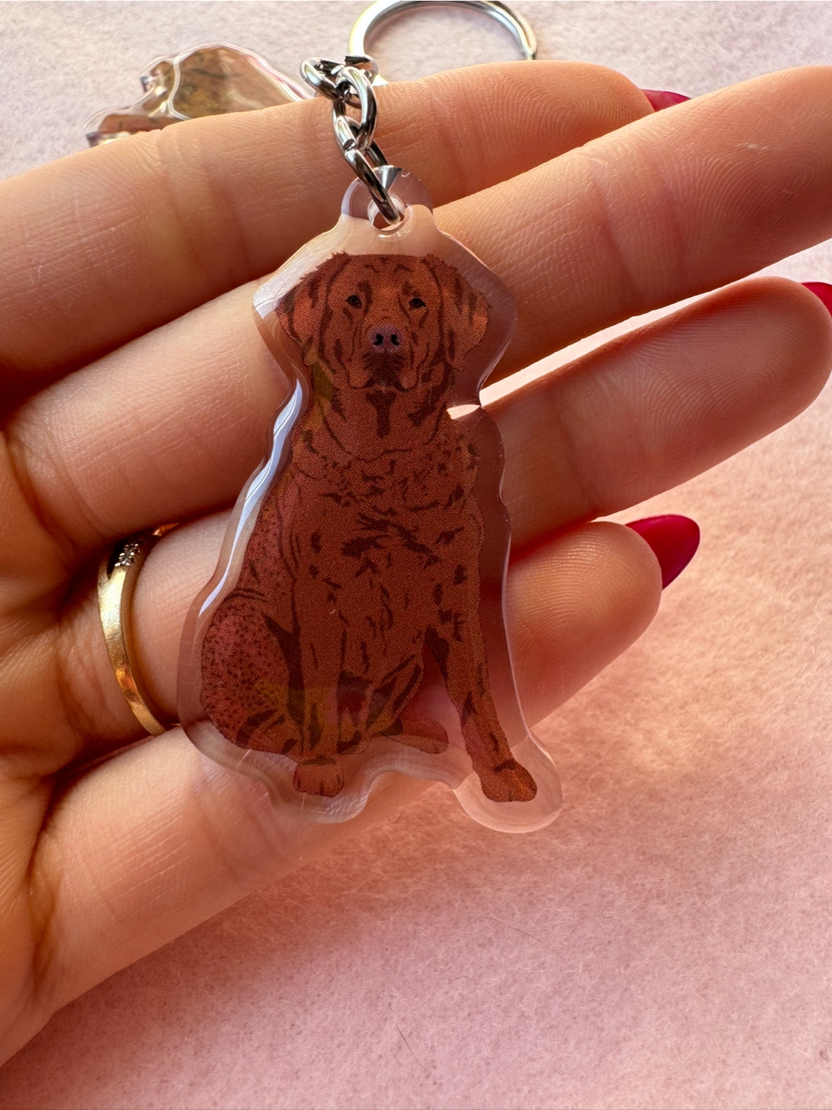 Chesapeake Bay Retriever Keychain
