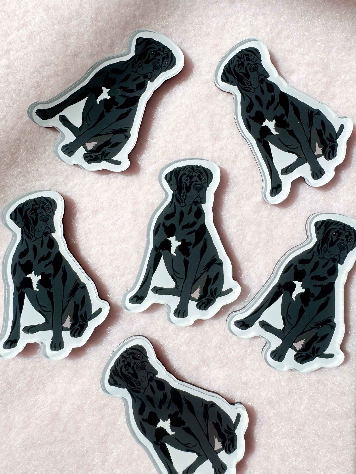 Cane Corso (natural ears) Magnet