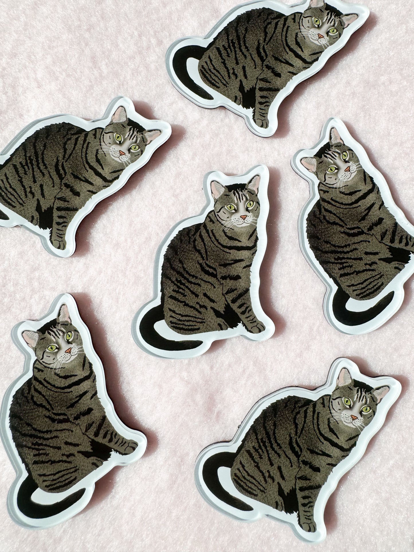 Domestic Shorthair, Tabby (brown) Magnet