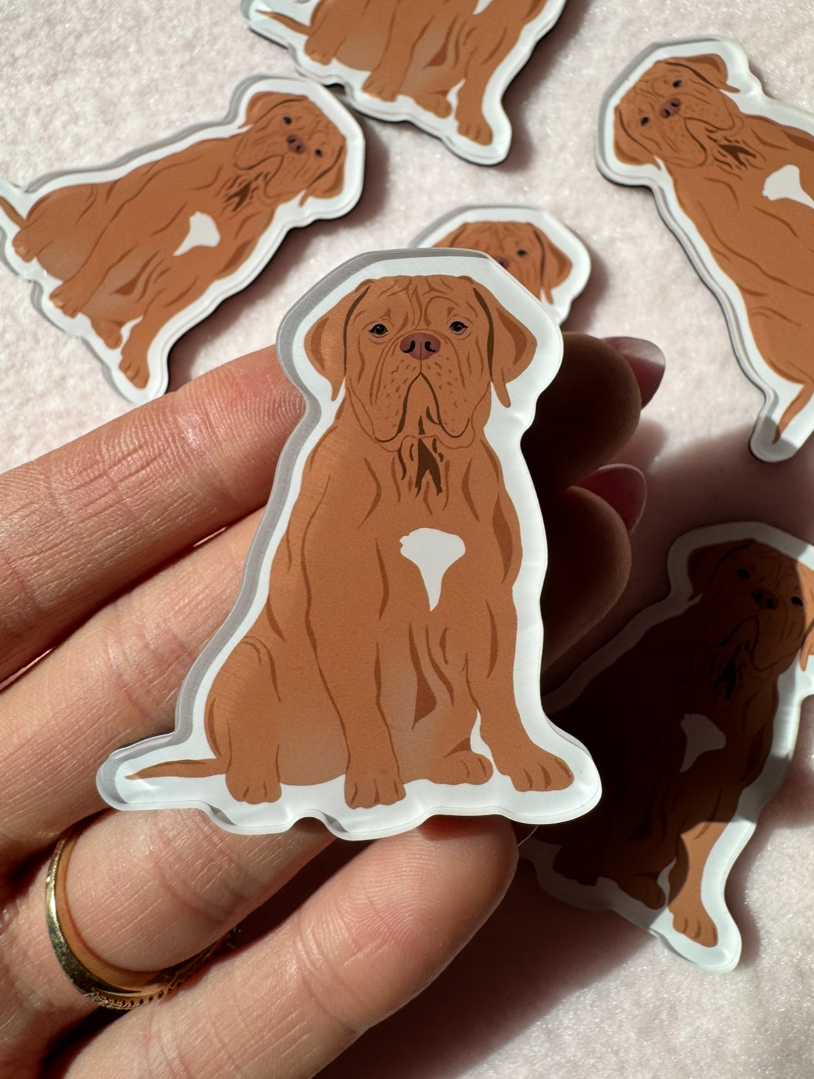 Dogue de Bordeaux, French Mastiff Magnet