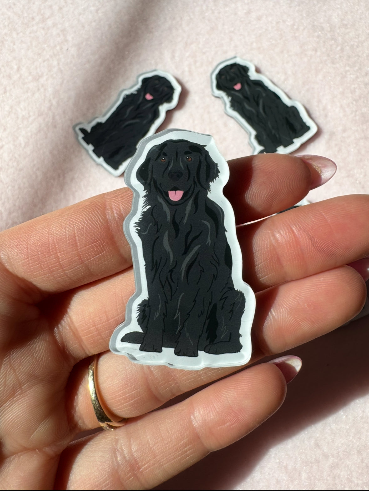 Golden Retriever (black), Flat Coated Retriever Magnet