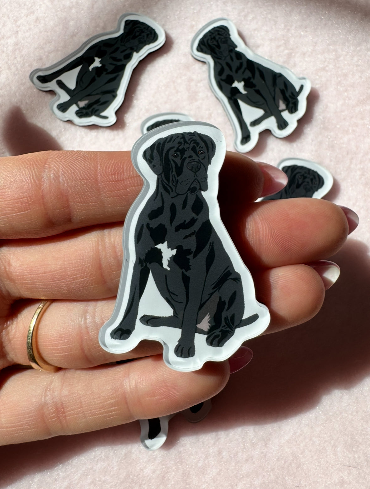 Cane Corso (natural ears) Magnet