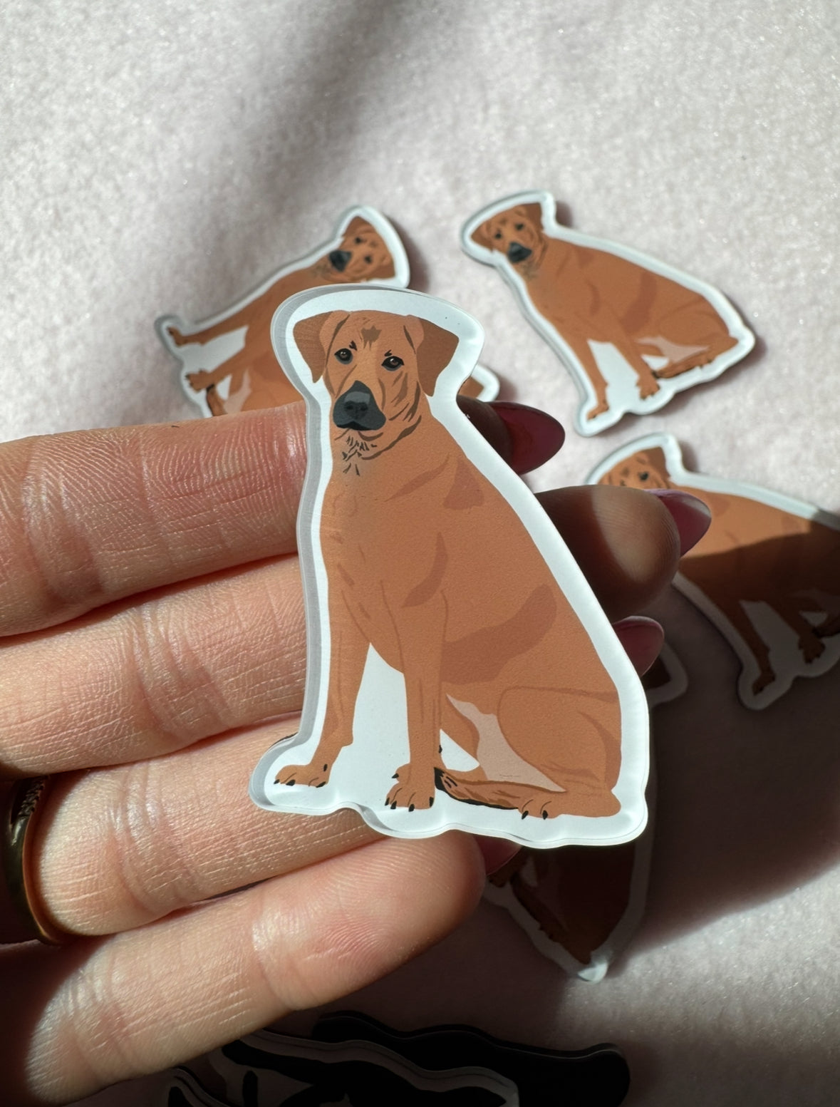 Mountain Cur, Rhodesian Ridgeback Magnet