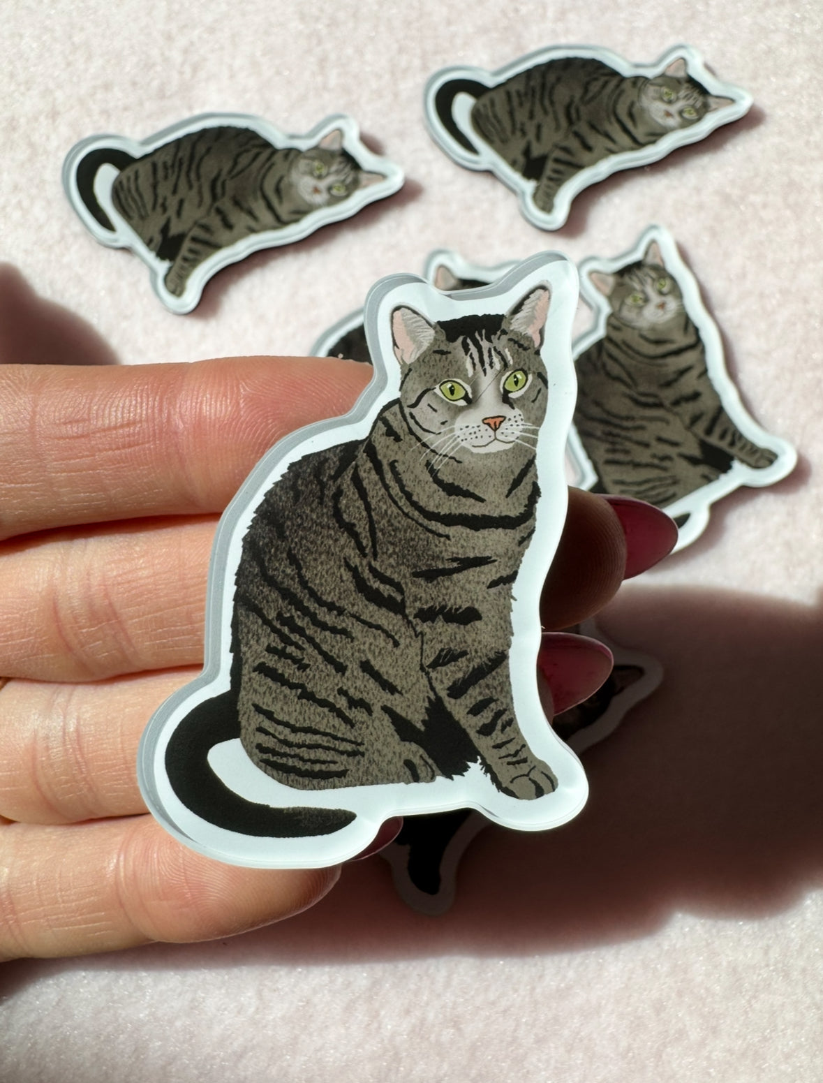 Domestic Shorthair, Tabby (brown) Magnet