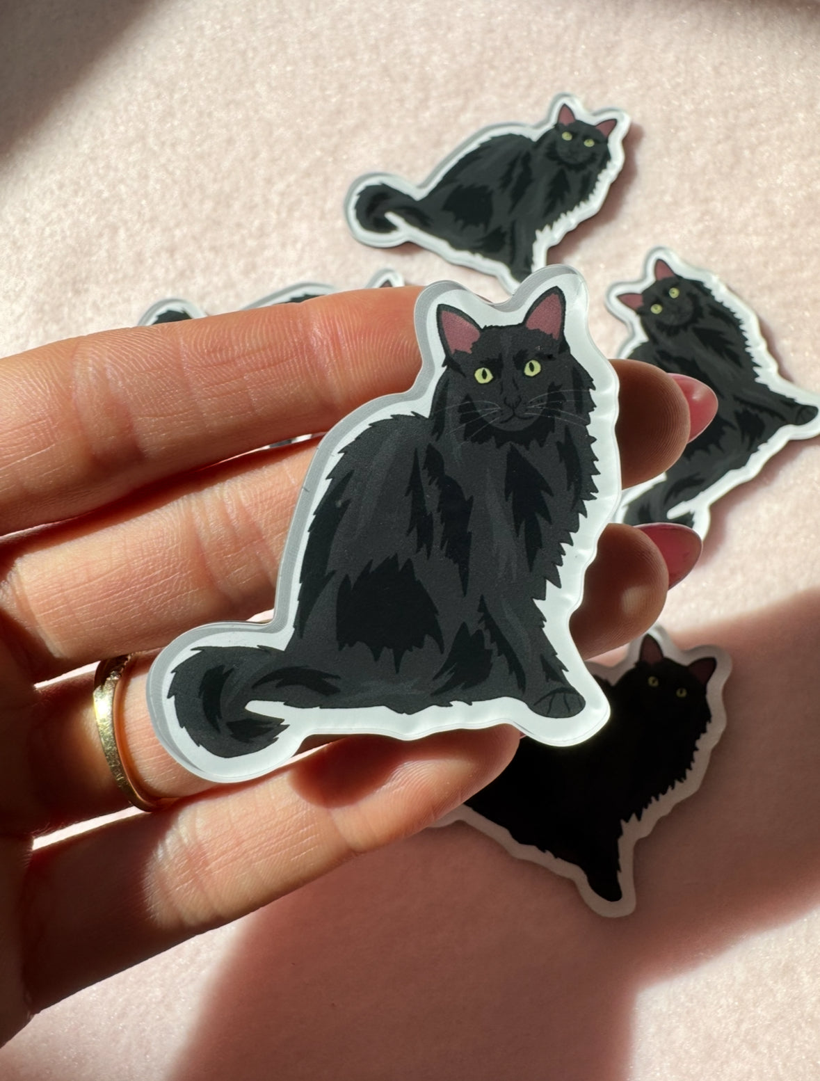 Black Cat (long-haired) Magnet
