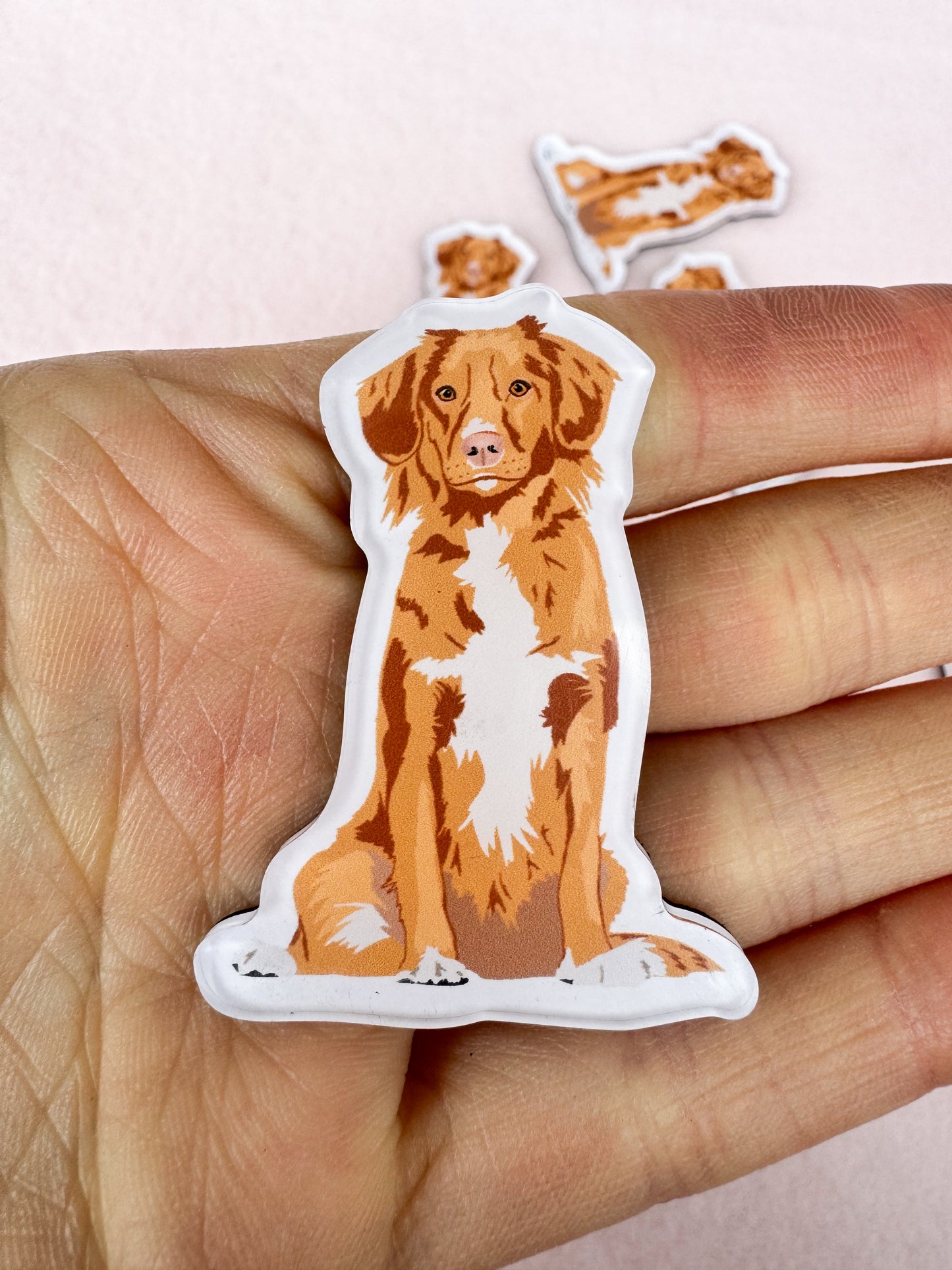 Nova Scotia Duck Tolling Retriever Magnet
