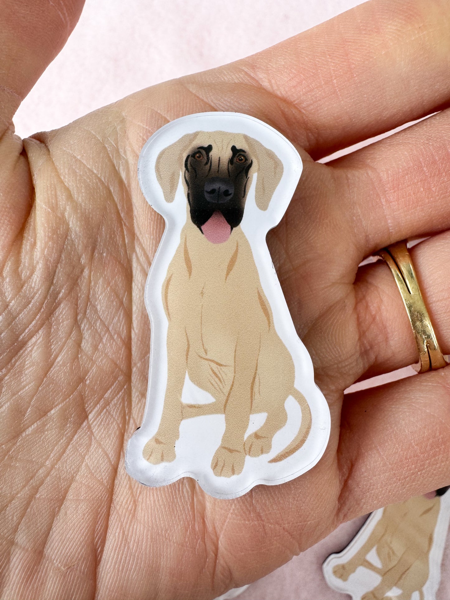 Great Dane (tan) Magnet