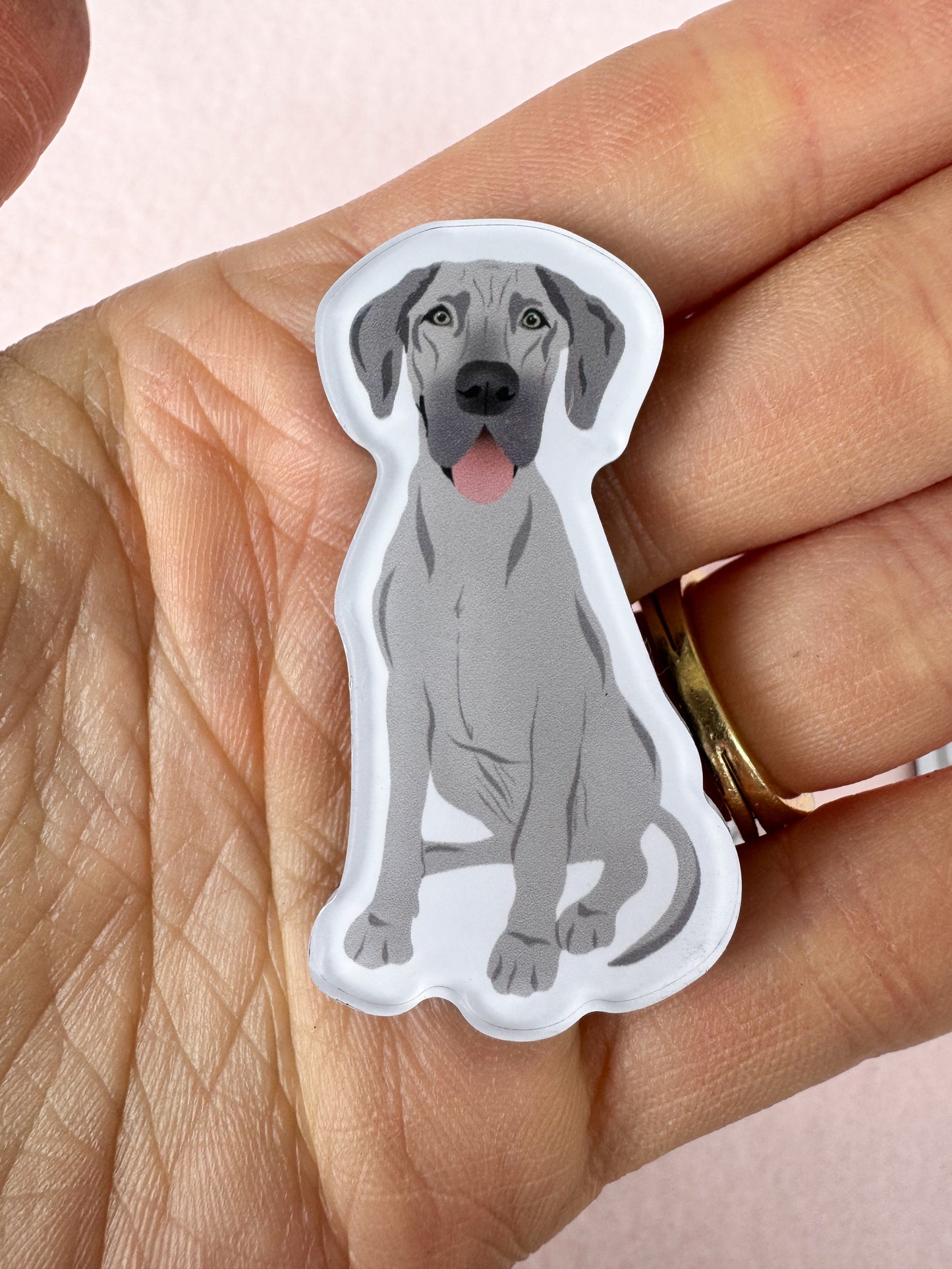 Great Dane (gray) Magnet
