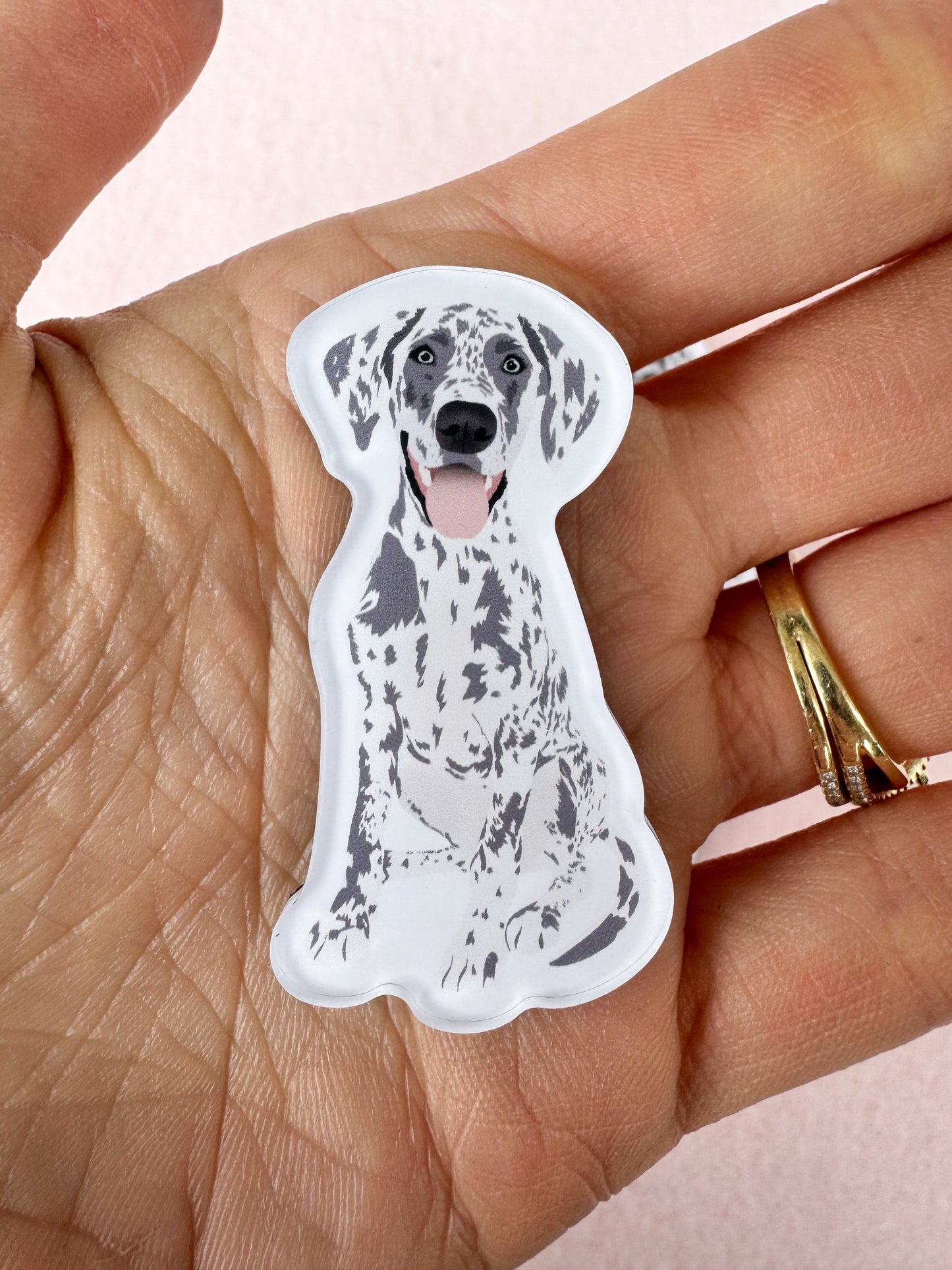 Great Dane (blue merle) Magnet
