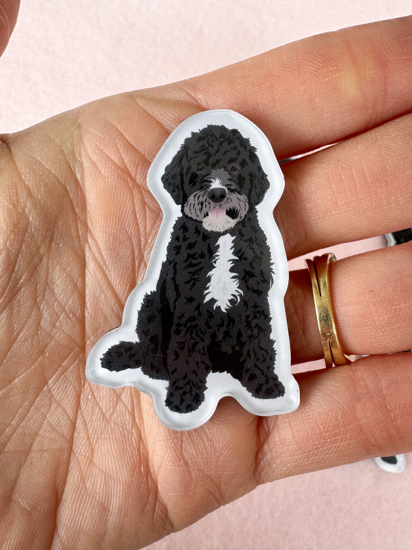 Portuguese Water Dog Magnet