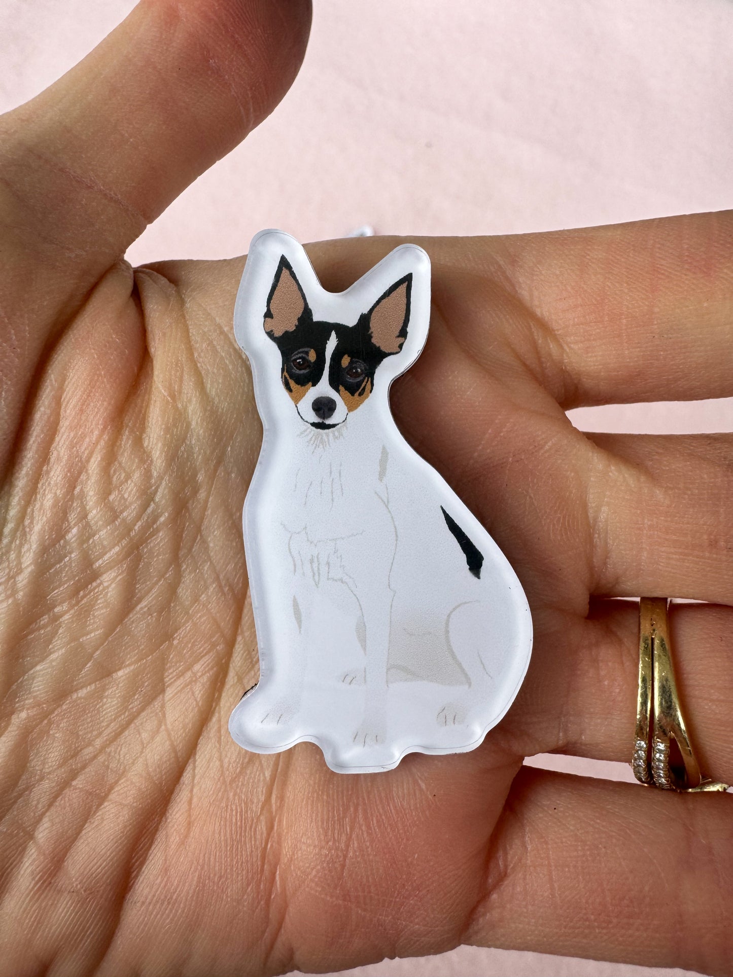Rat Terrier, Toy Fox Terrier Magnet