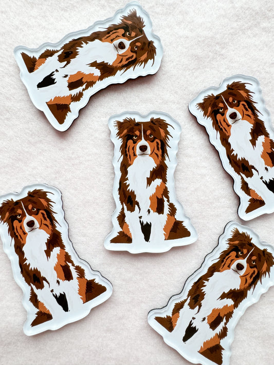 Australian Shepherd (red-tri) Magnet