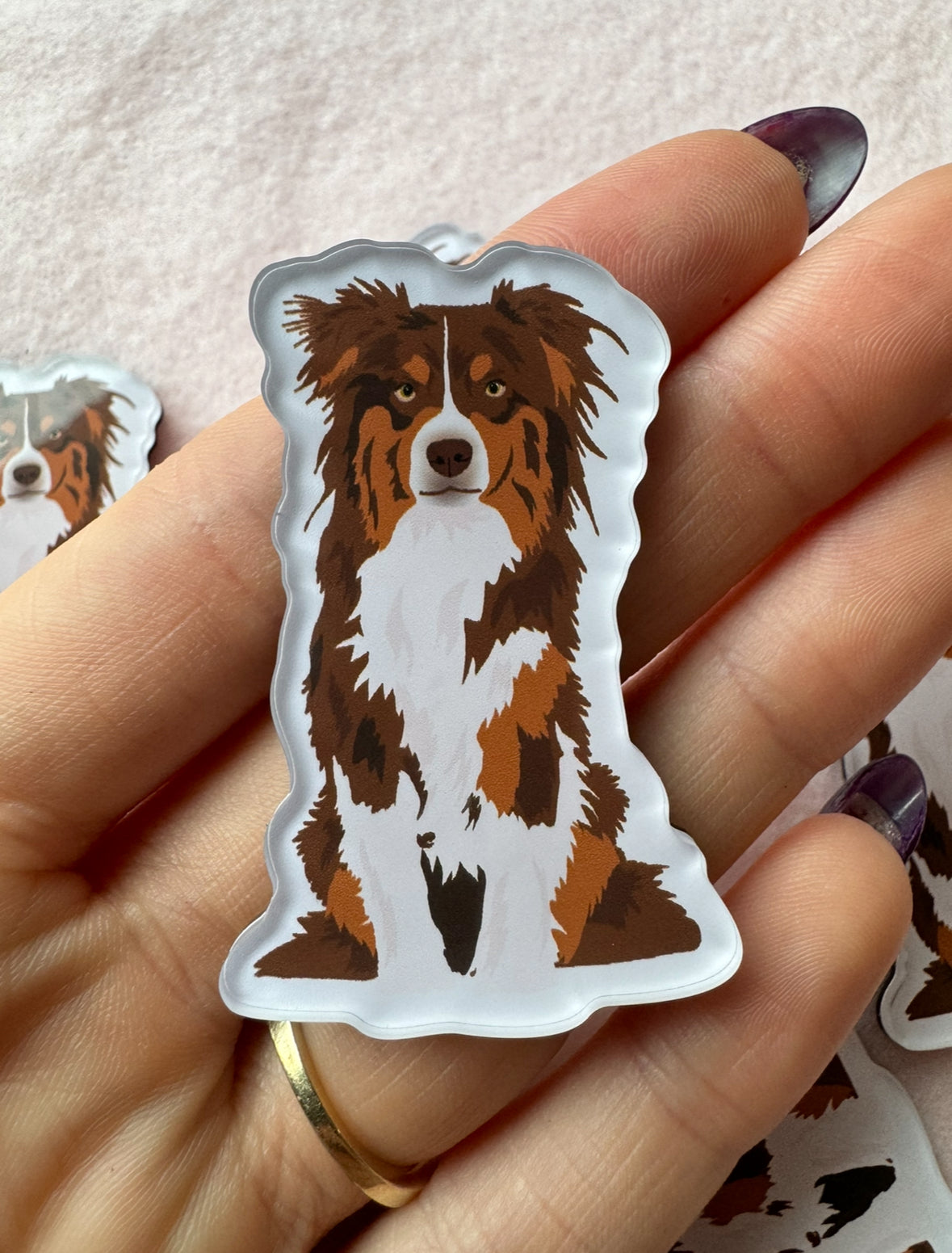 Australian Shepherd (red-tri) Magnet