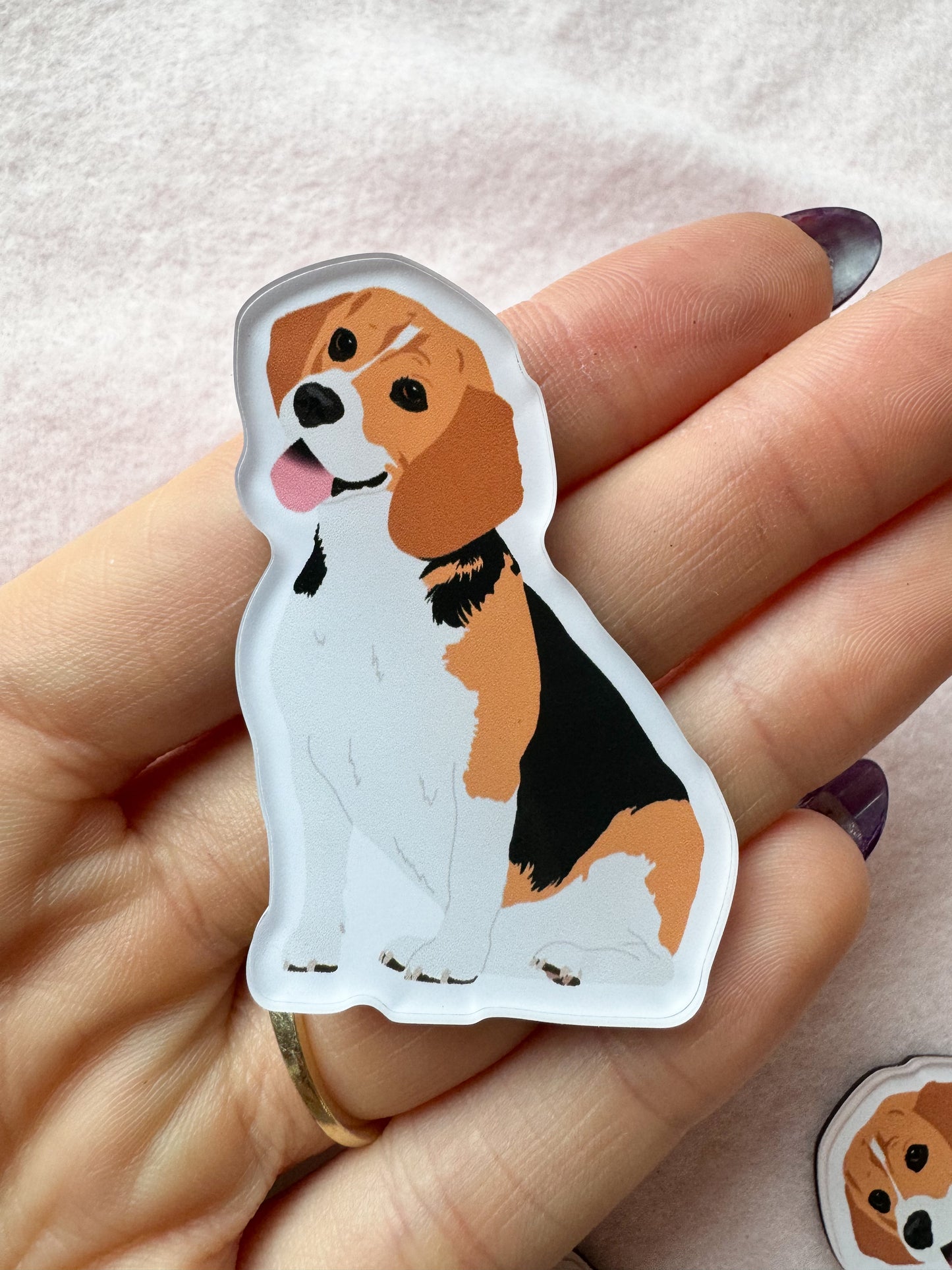 Beagle Magnet
