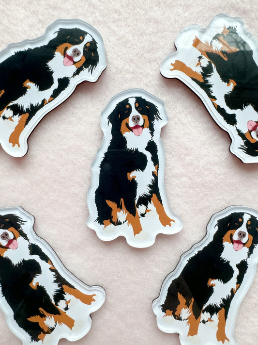 Bernese Mountain Dog Magnet