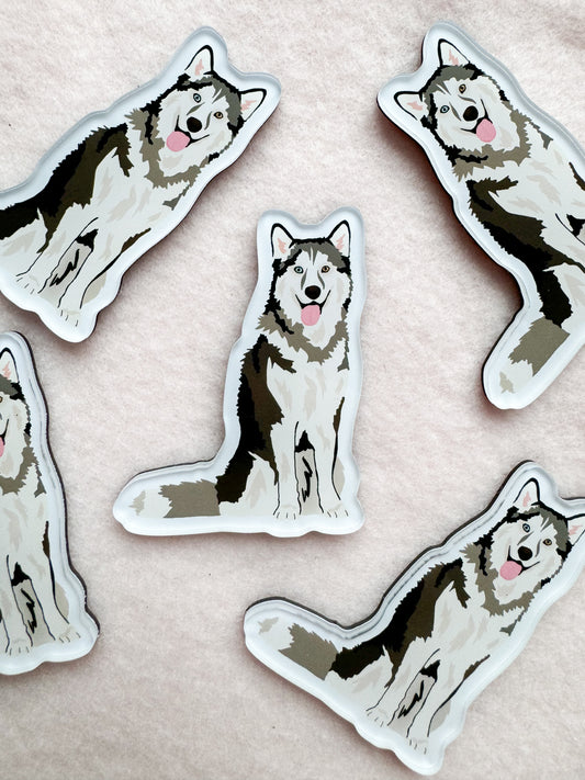Siberian Husky, Alaskan Malamute Magnet