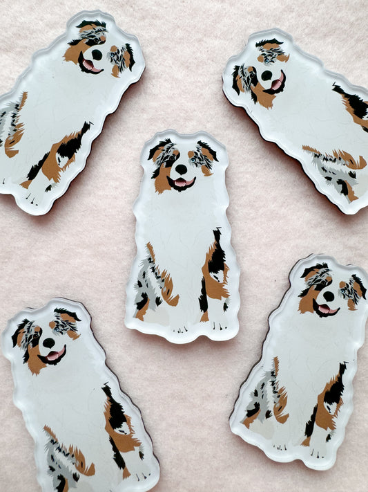 Australian Shepherd (blue merle) Magnet